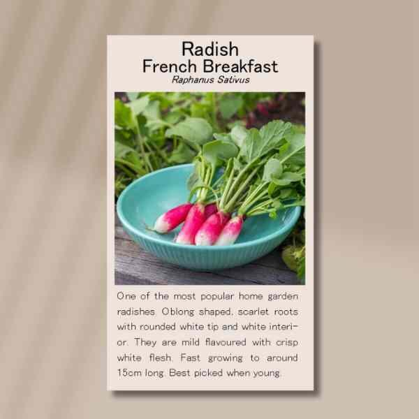 radish-french-breakfast-front radish-french-breakfast-front