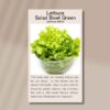 salad-bowl-green-front