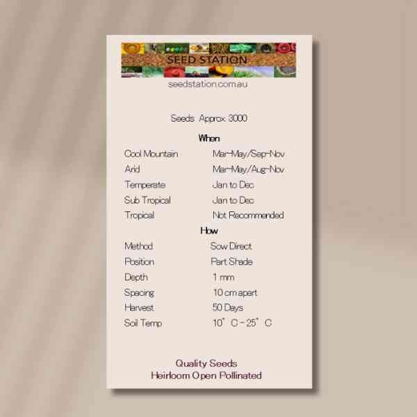wild-rocket-back wild-rocket-back