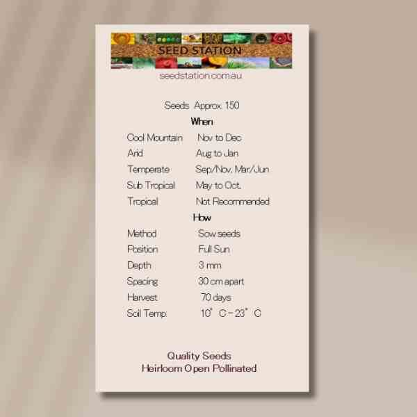 coreopsis-mayfields-giants-seed-packet-back coreopsis-mayfields-giants-seed-packet-back