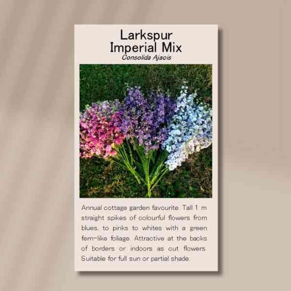 larkspur-imperial-mix-front larkspur-imperial-mix-front