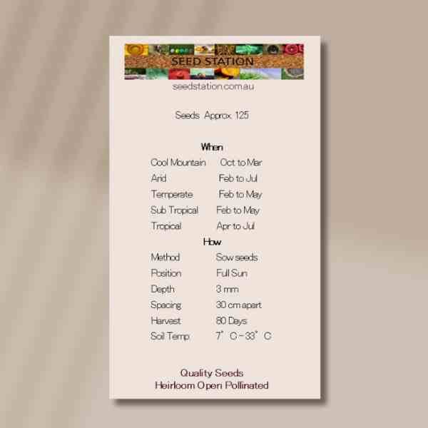 broccoletti-back broccoletti-back