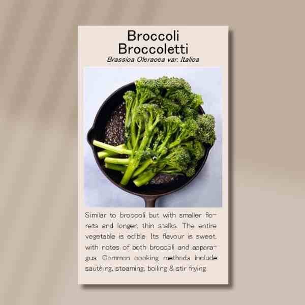 broccoletti-front broccoletti-front