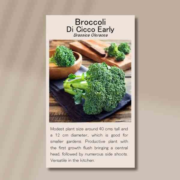 broccoli-di-cicco-front broccoli-di-cicco-front