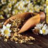 chamomile-seeds-2