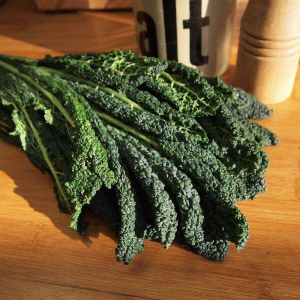 kale-nero-de-toscano-seeds