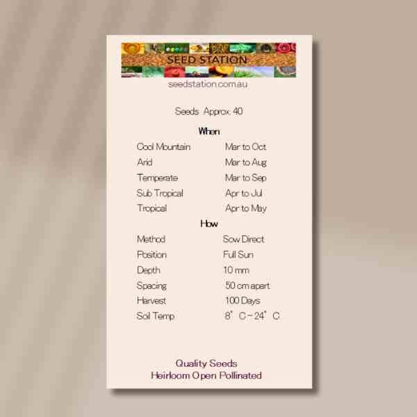 massey-gem-back massey-gem-back