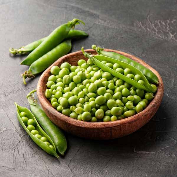 shelling-pea-massey-gem-seeds