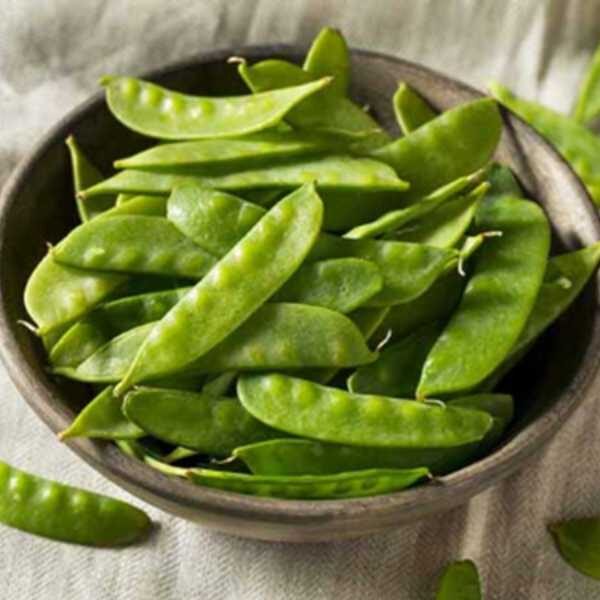 snow pea mammoth melting peas in a bowl