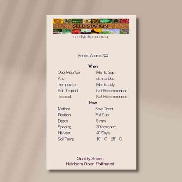 viroflay-back-1 viroflay-back-1