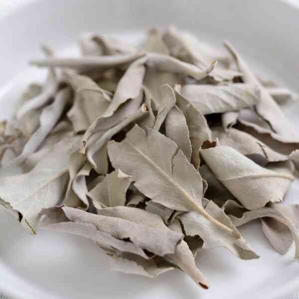 white-sage-seeds-2 white-sage-seeds-2