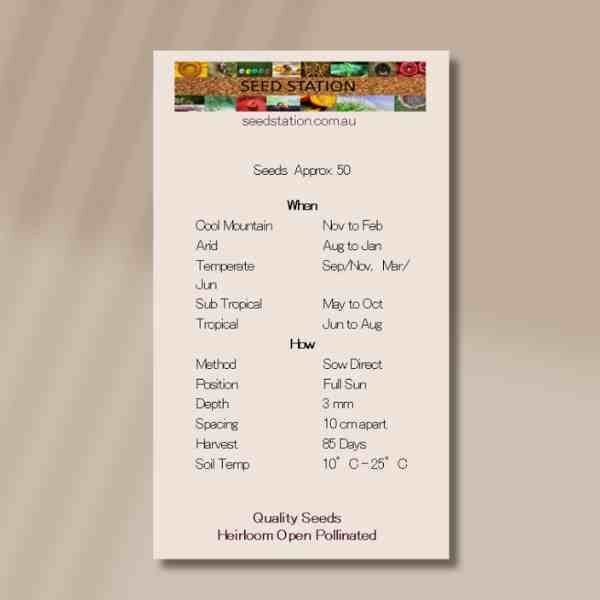 borage-front borage-front