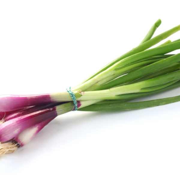 bunching-onion-red-beard-seed