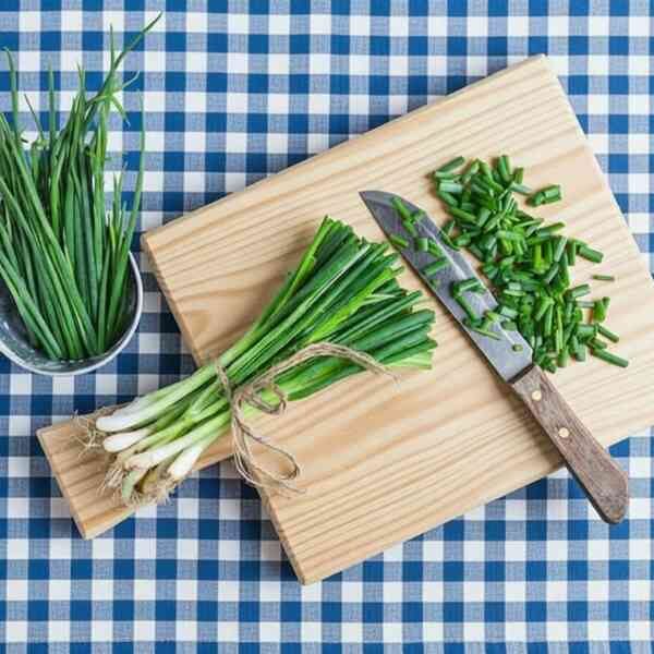 bunching-onion-winter-ishikura-seeds-1 bunching-onion-winter-ishikura-seeds-1