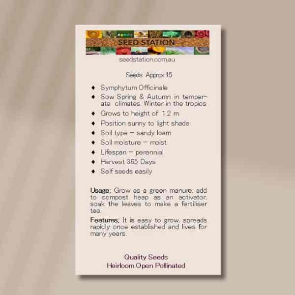 comfrey-back comfrey-back