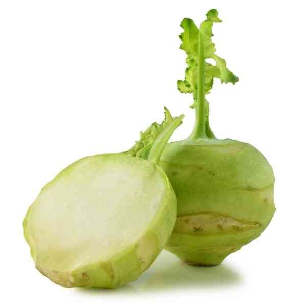 kohl-rabi=white-vienna-seeds-6