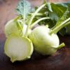 kohlrabi-white-vienna-seeds