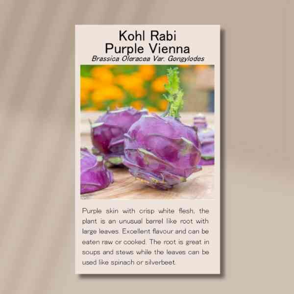 kr-seeds-front kr-seeds-front