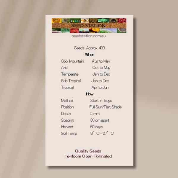 lettuce buttercrunch-seeds-back lettuce buttercrunch-seeds-back