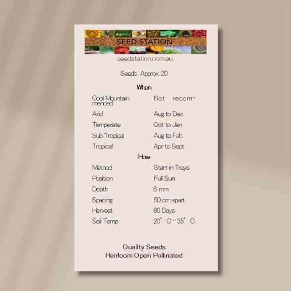 okra-burgundy-back okra-burgundy-back