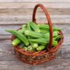 okra-clemsons-seeds