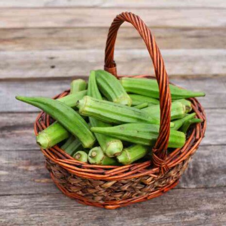 okra-clemsons-seeds