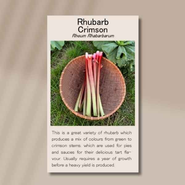 rhubarb-crimson-front front of crimson rhubarb seed packet