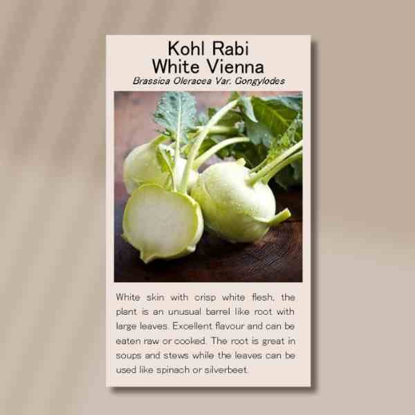 white-vienna-front white-vienna-front