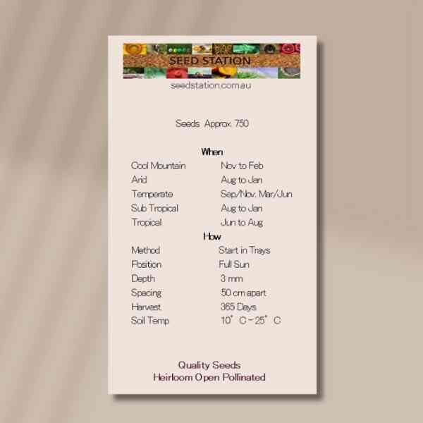 wild-bergamot-back2 wild-bergamot-back2