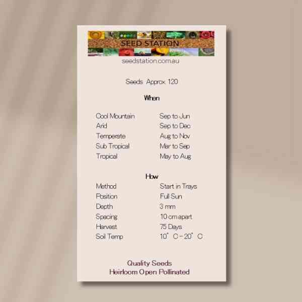 winter-ishikura-back=2 winter-ishikura-back=2