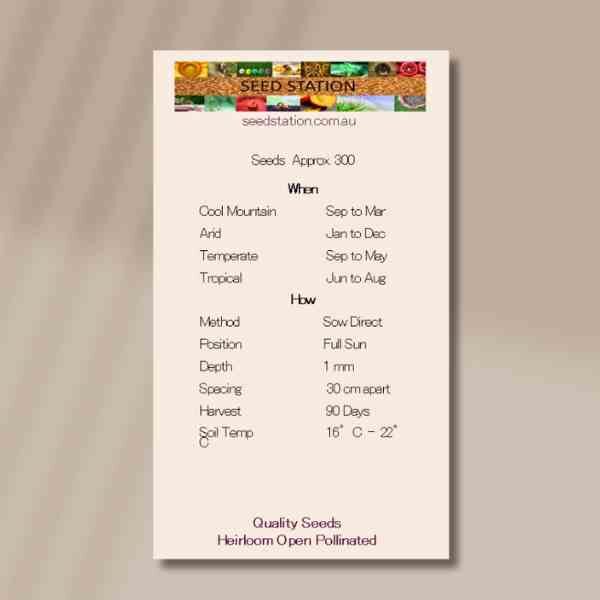 african-crackerjack-web (1) african-crackerjack-web (1)
