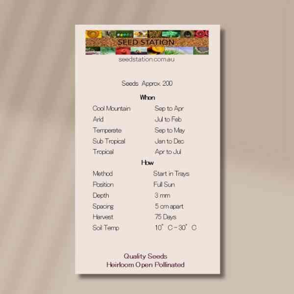 chives-back chives-back