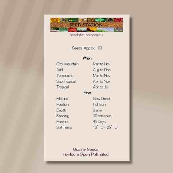 coriander-slow-bolt-back coriander-slow-bolt-back