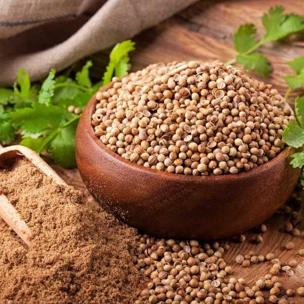 coriander-slow-bolt-seeds-2 coriander-slow-bolt-seeds-2