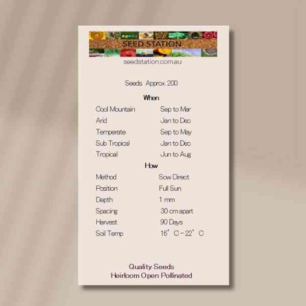 french-sparky-seeds-back french-sparky-seeds-back