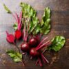 beetroot-bulls-blood-seeds-1