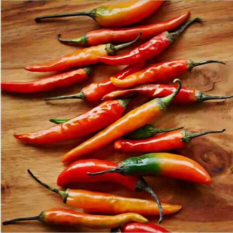 chilli-cayenne-seeds-5