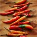 chilli-cayenne-seeds-5