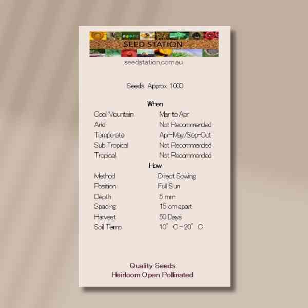 lambs-lettuce-back lambs-lettuce-back