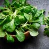 lambs-lettuce-seeds-2