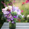 sweetpea-knee-high-seeds-4