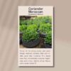 coriander-moroccan-front