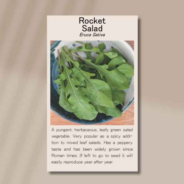 rocket-salad-back front of seed packet for rocket salad seeds