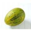 rockmelon-piel-de-sapo-seeds-4