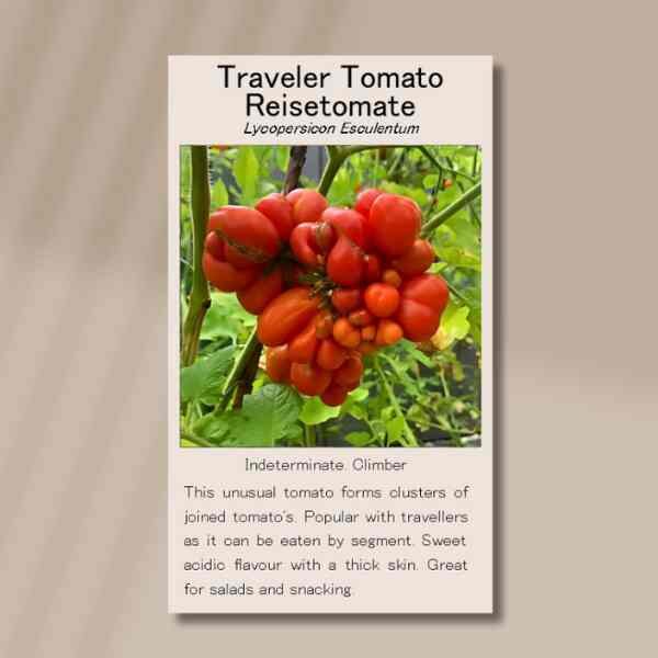 tomato-reistetomate-seeds-front tomato-reistetomate-seeds-front