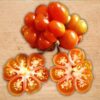 tomato-reistomate-seeds-1