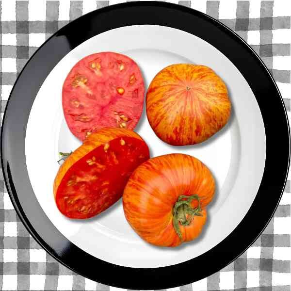 tomato-tigerella-seeds-7 tomato-tigerella-seeds-7