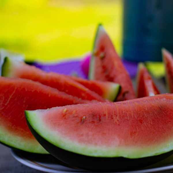 watermelon-sugar-baby-seeds