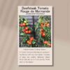 beefsteak-tomato-rouge-de-marmande-front