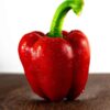 capsicum-california-wonder-seeds